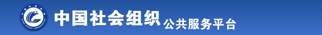 激情透逼全国社会组织信息查询